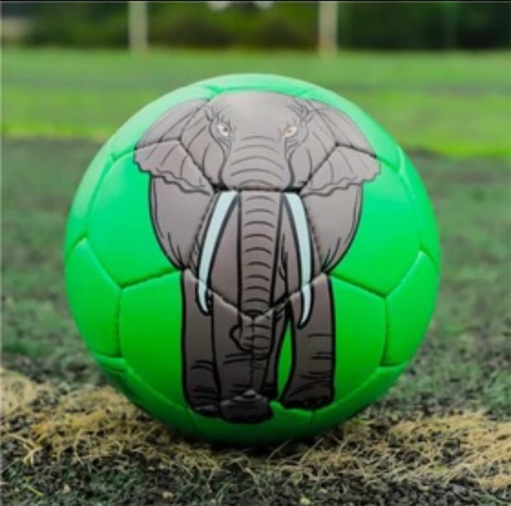 Football Size 5 Animal ball 